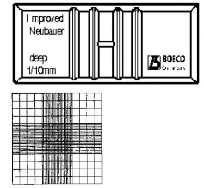 BOECO Blood Counting Chambers